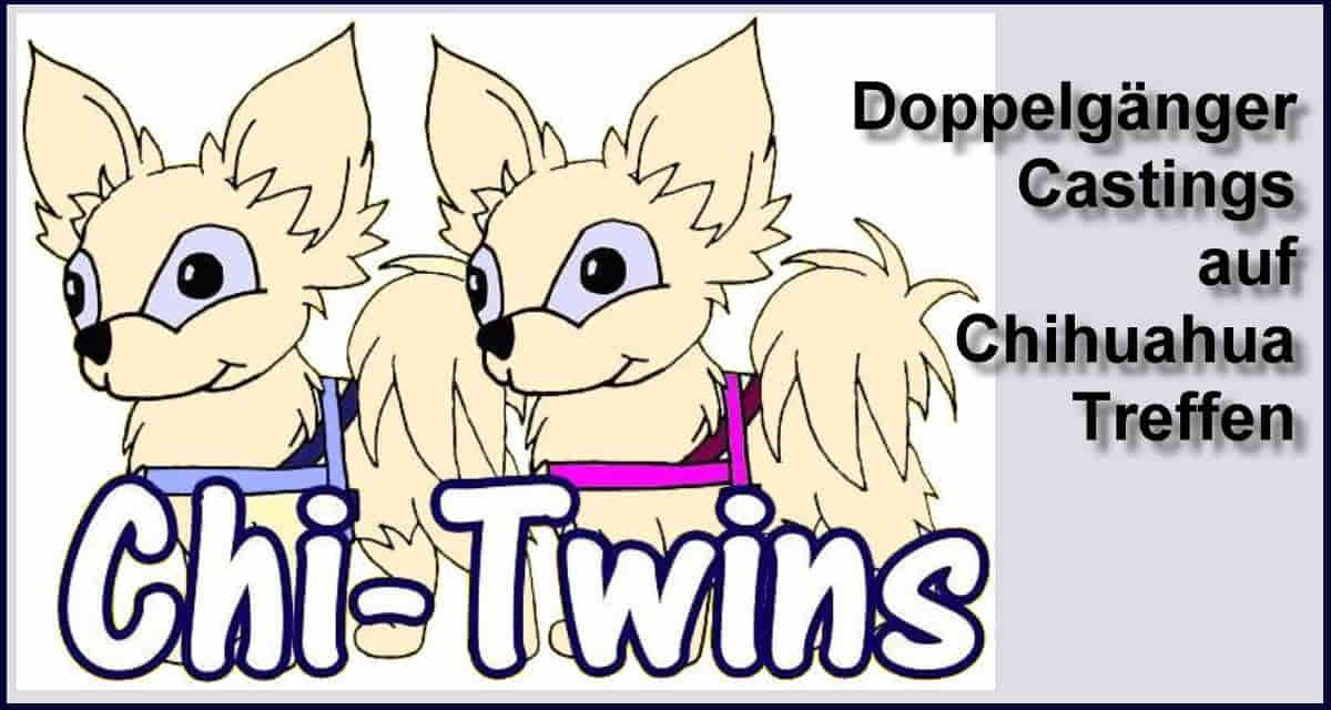 Doppelgänger